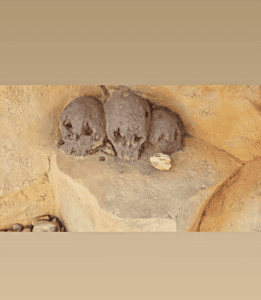 Mudd skulls in pool grotto